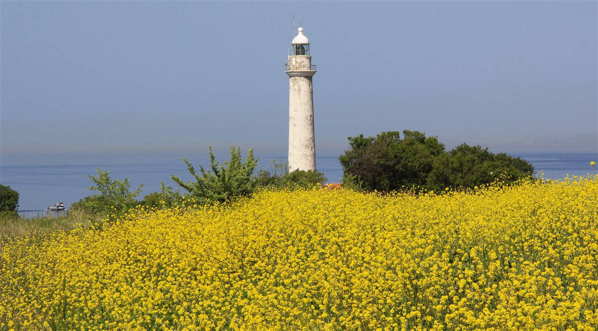 Doğanay Pansiyon Tel:+90 (286) 862 00 63