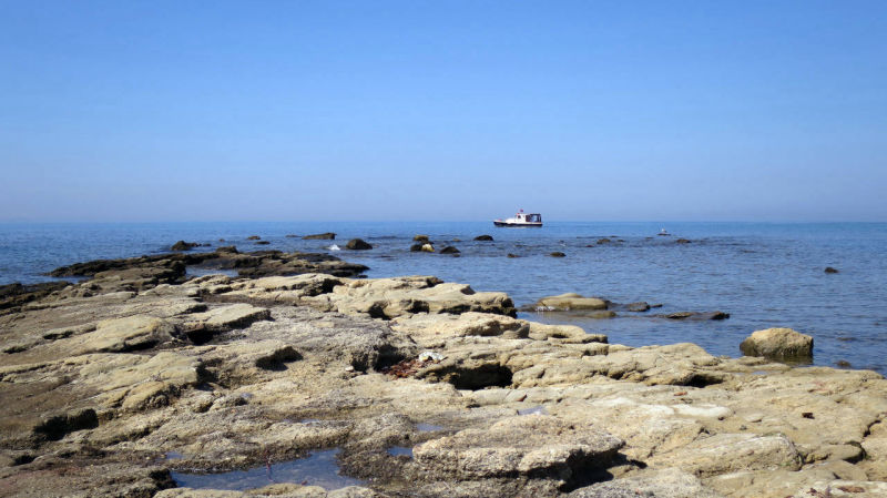 Doğanay Pansiyon Tel:+90 (286) 862 00 63