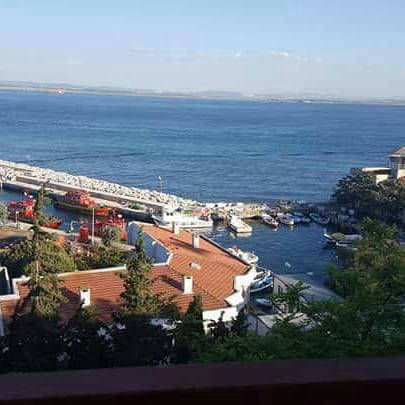 Doğanay Pansiyon Tel:+90 (286) 862 00 63