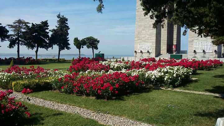 Doğanay Pansiyon Tel:+90 (286) 862 00 63