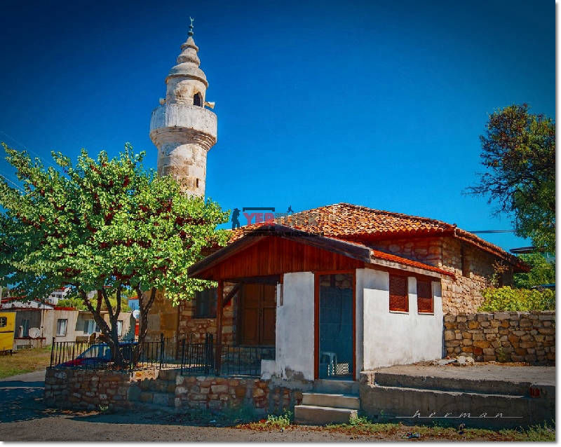 Doğanay Pansiyon Tel:+90 (286) 862 00 63